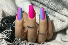 Harlequin
